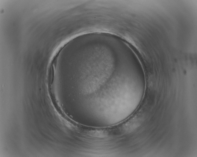 X0000063461508200601201233