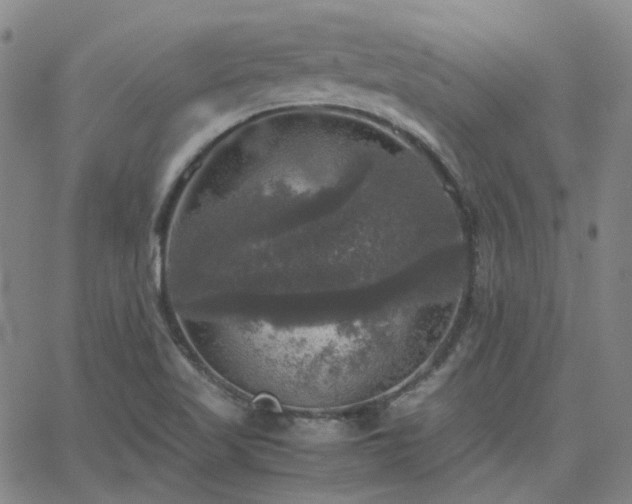 X0000063461509200601201233