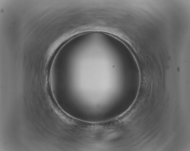 X0000063461511200601201233