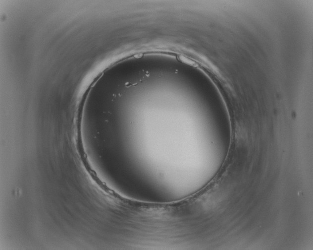 X0000063461512200601201233