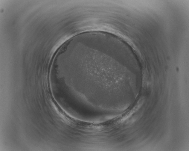 X0000063461513200601201233