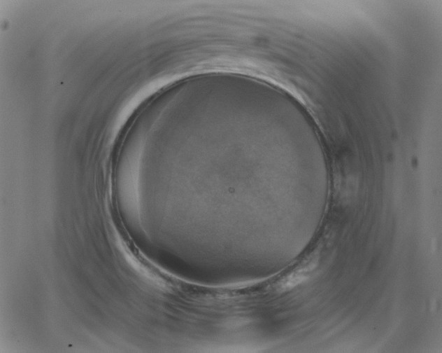 X0000063461515200601201233