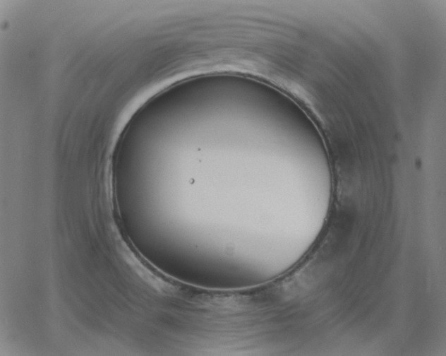 X0000063461516200601201233