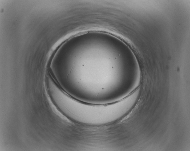 X0000063461518200601201233