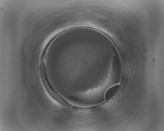 X0000063461519200601201233