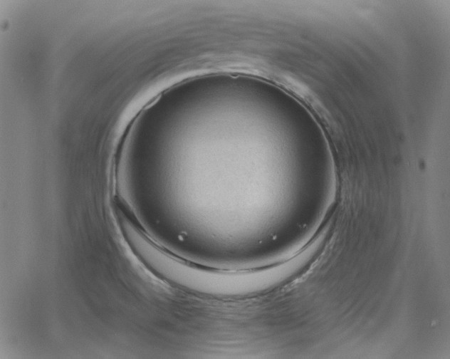 X0000063461520200601201233