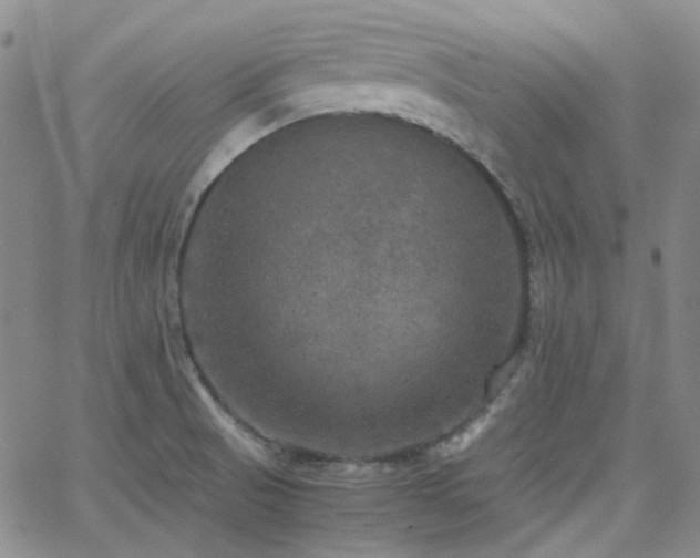 X0000063461521200601201233