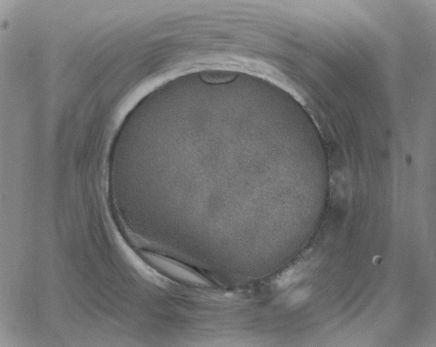 X0000063461523200601201233