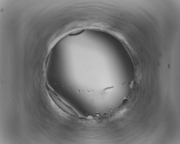 X0000063461524200601201233