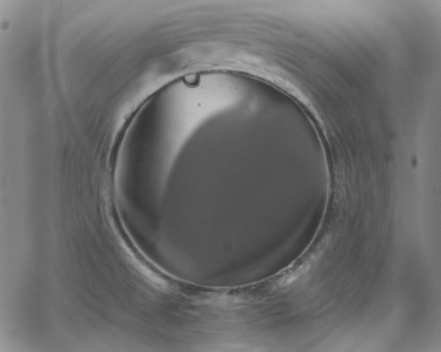 X0000063461525200601201233