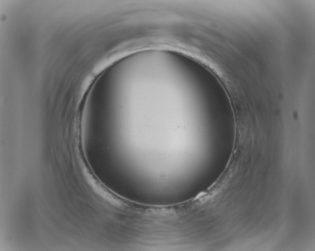 X0000063461526200601201233