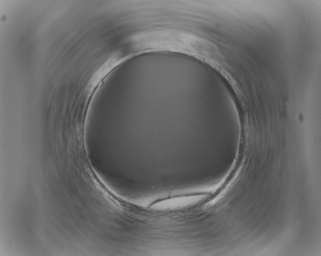 X0000063461529200601201233