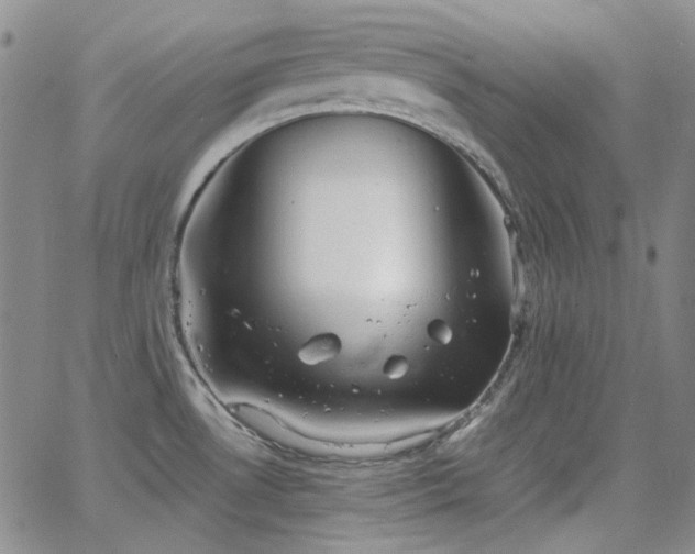 X0000063461530200601201233