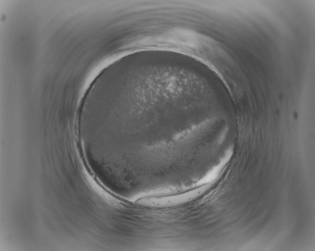 X0000063461531200601201233