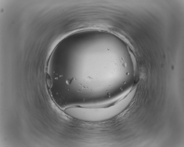 X0000063461532200601201233