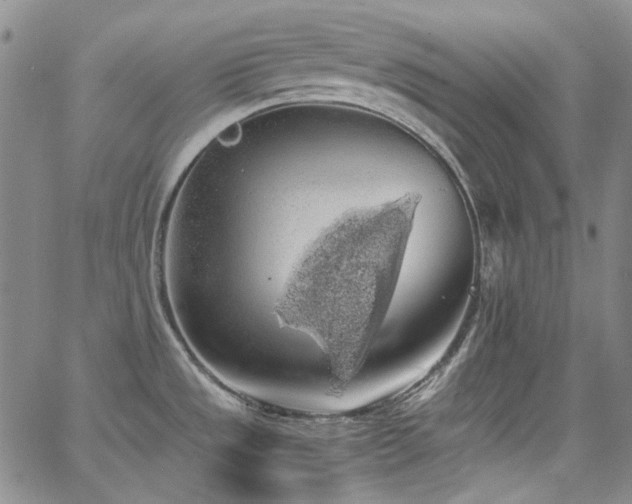 X0000063461533200601201233