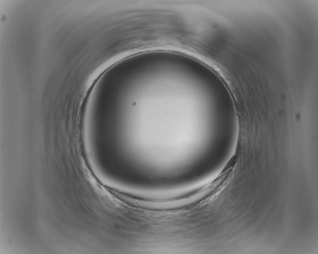 X0000063461534200601201233