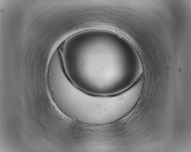 X0000063461536200601201233