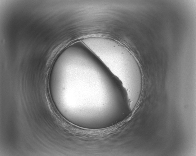 X0000063460001200601231430