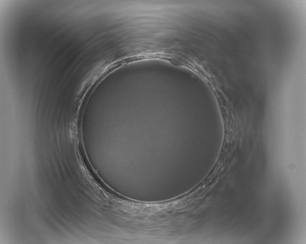 X0000063460002200601231430