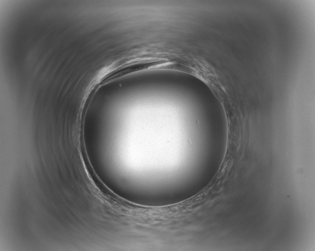 X0000063460003200601231430