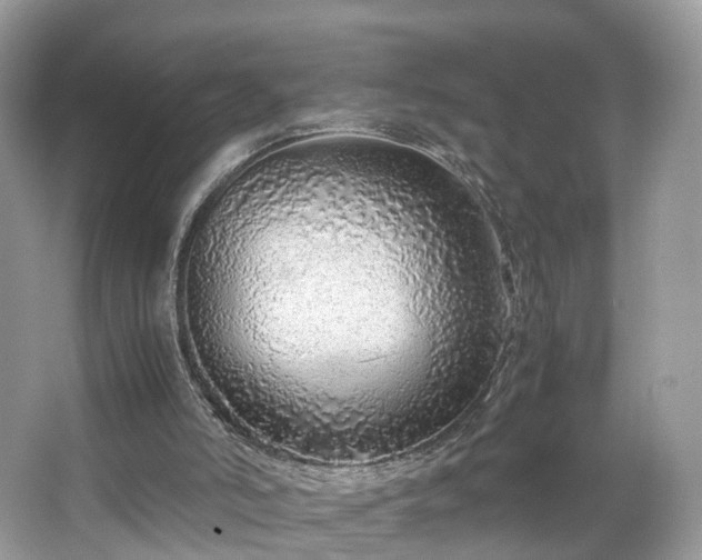 X0000063460006200601231430