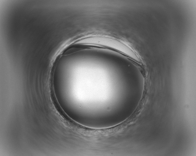 X0000063460007200601231430