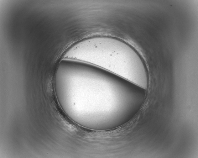 X0000063460009200601231430