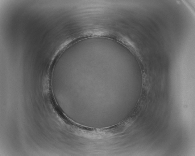 X0000063460012200601231430