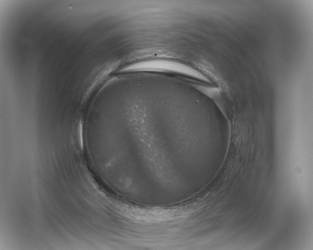 X0000063460014200601231430