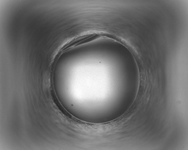 X0000063460015200601231430