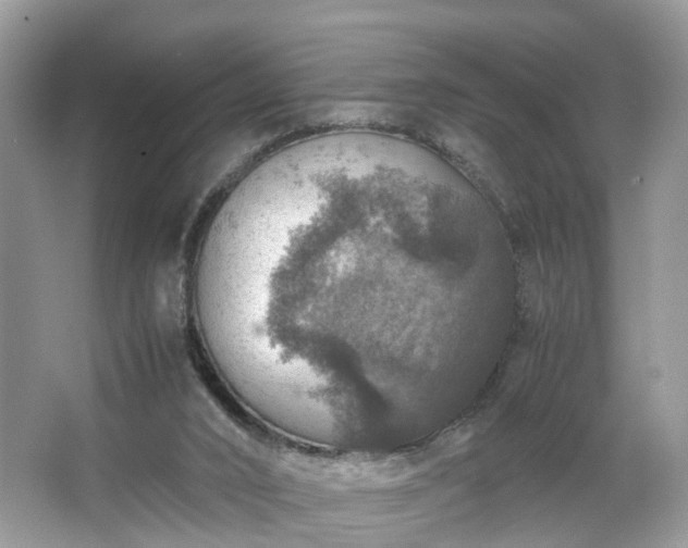 X0000063460016200601231430