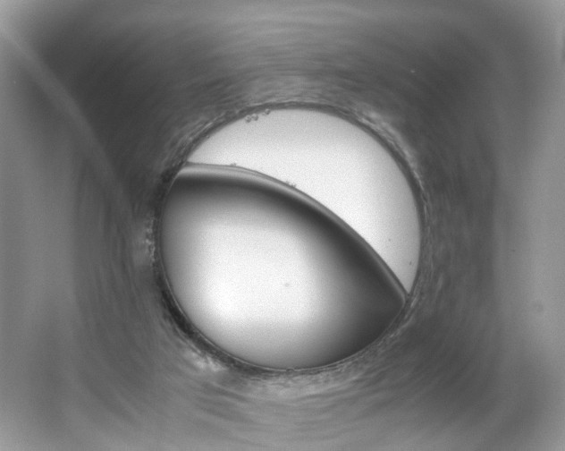 X0000063460017200601231430