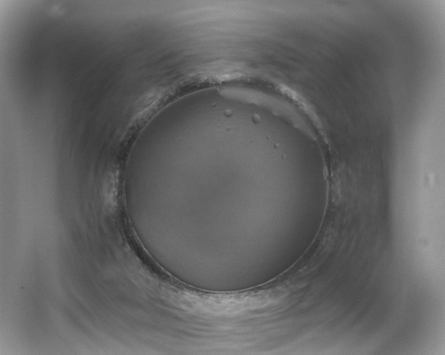 X0000063460018200601231430