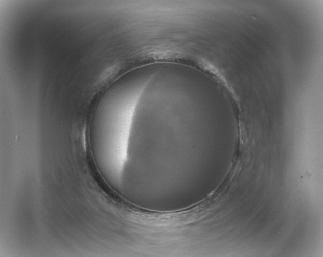 X0000063460019200601231430