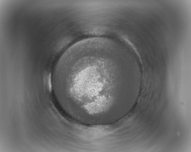 X0000063460020200601231430