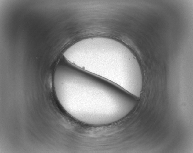 X0000063460021200601231430