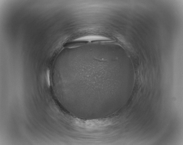 X0000063460022200601231430