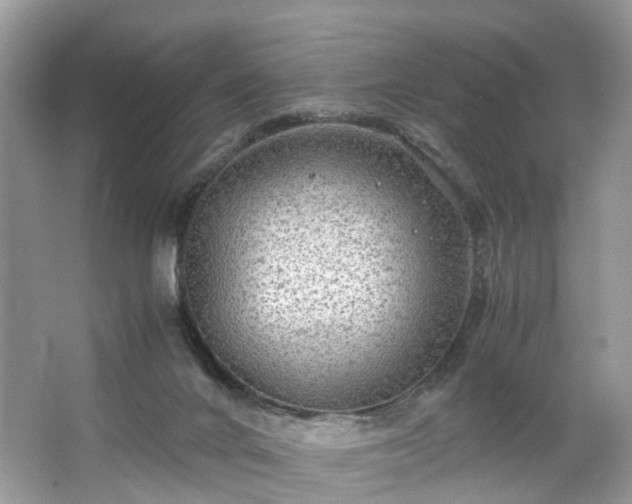 X0000063460024200601231430