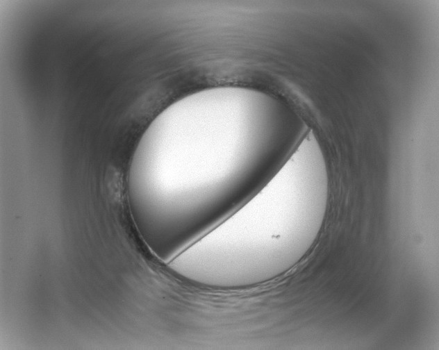 X0000063460025200601231430