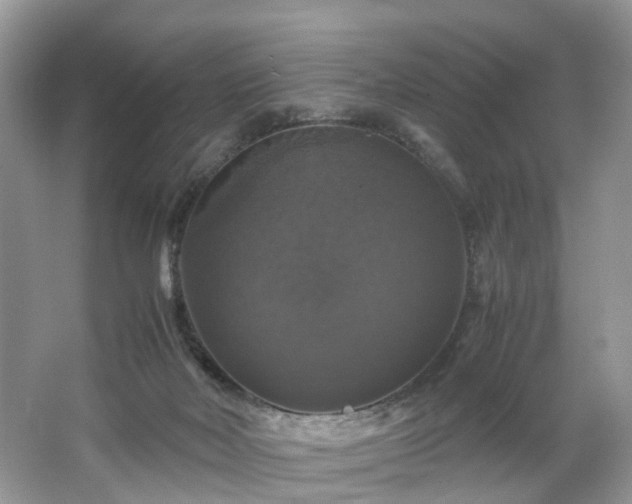 X0000063460026200601231430