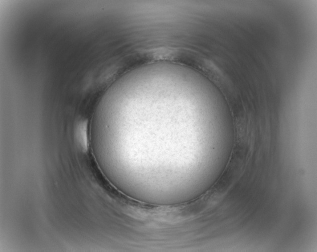 X0000063460028200601231430