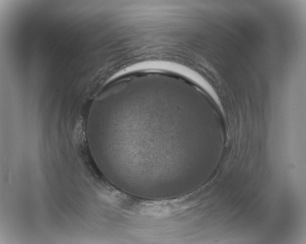 X0000063460029200601231430