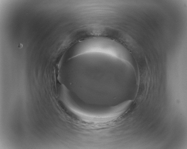 X0000063460031200601231430