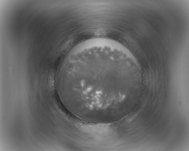 X0000063460032200601231430