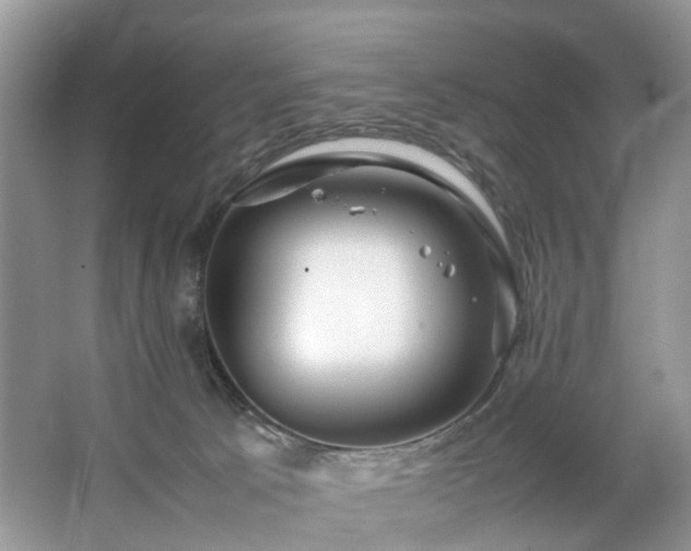 X0000063460033200601231430