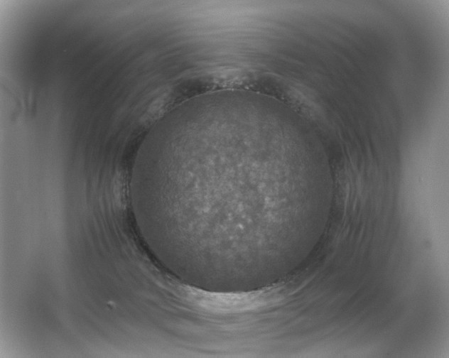 X0000063460034200601231430