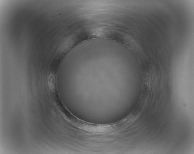 X0000063460036200601231430