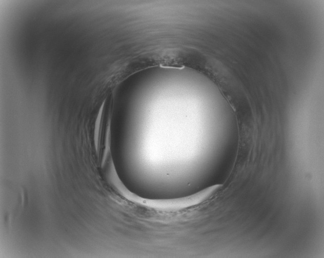 X0000063460037200601231430