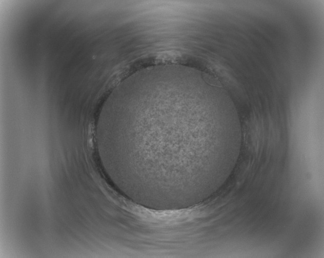 X0000063460038200601231430